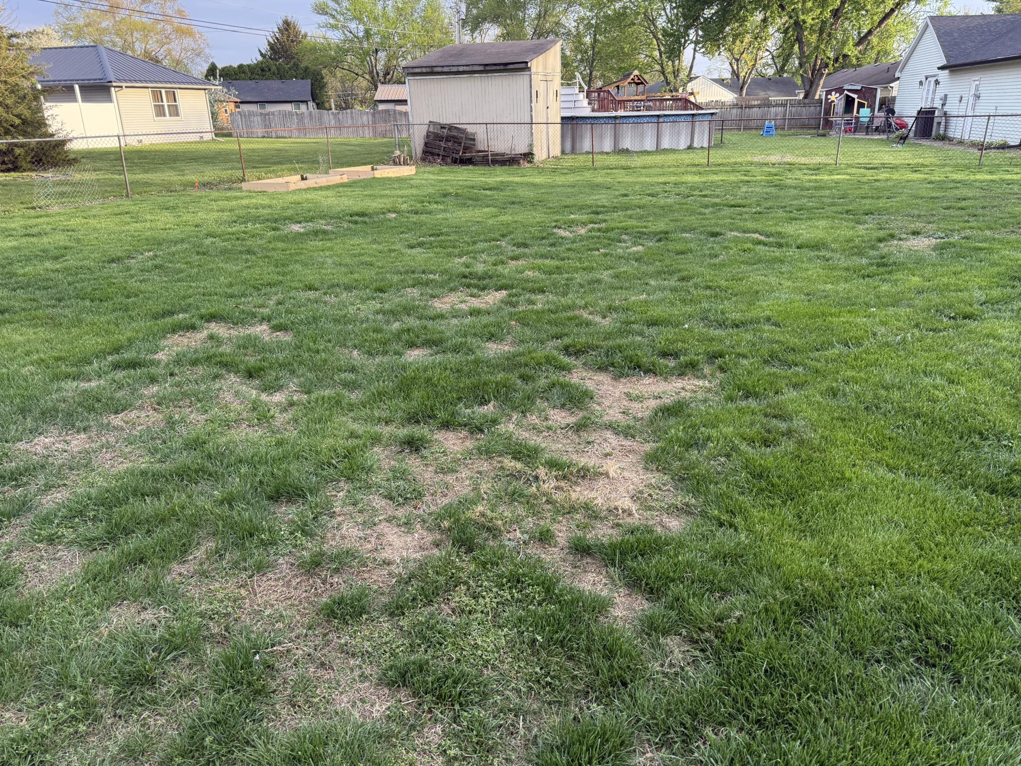 Patchy weedy lawn on a Sudbury residential property before sale