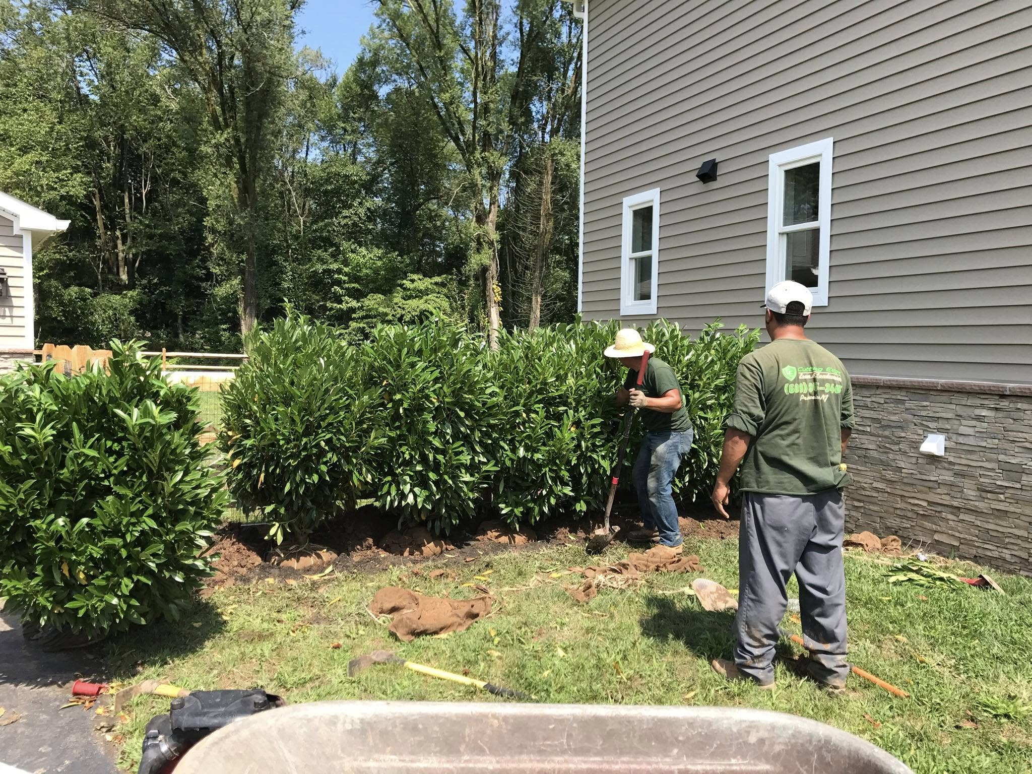 Professional hedge trimming on a Greater Sudbury property
