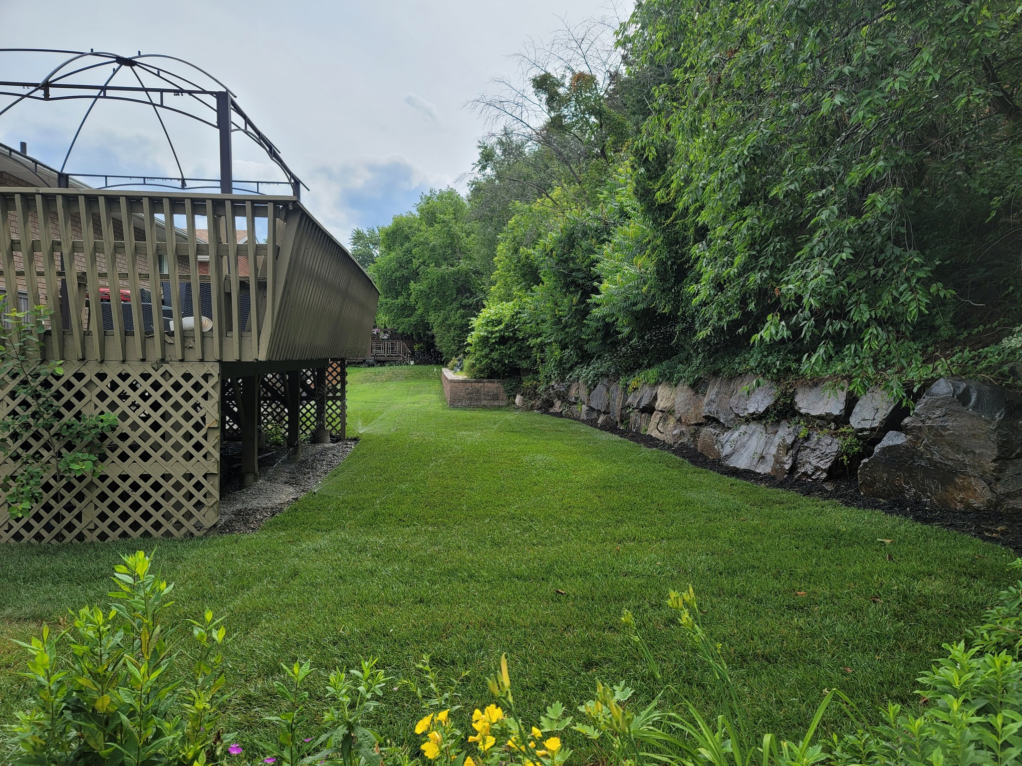Professional lawn care Sudbury summer