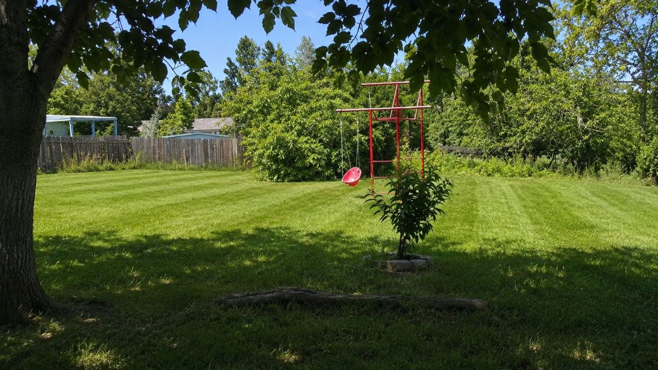 Recovered green lawn after proper grass cutting routine in Sudbury