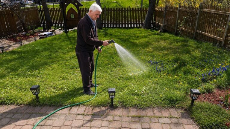 The 3 Things Sudbury Lawn ‘Experts’ Get Wrong About Our Soil (And What Actually Works)