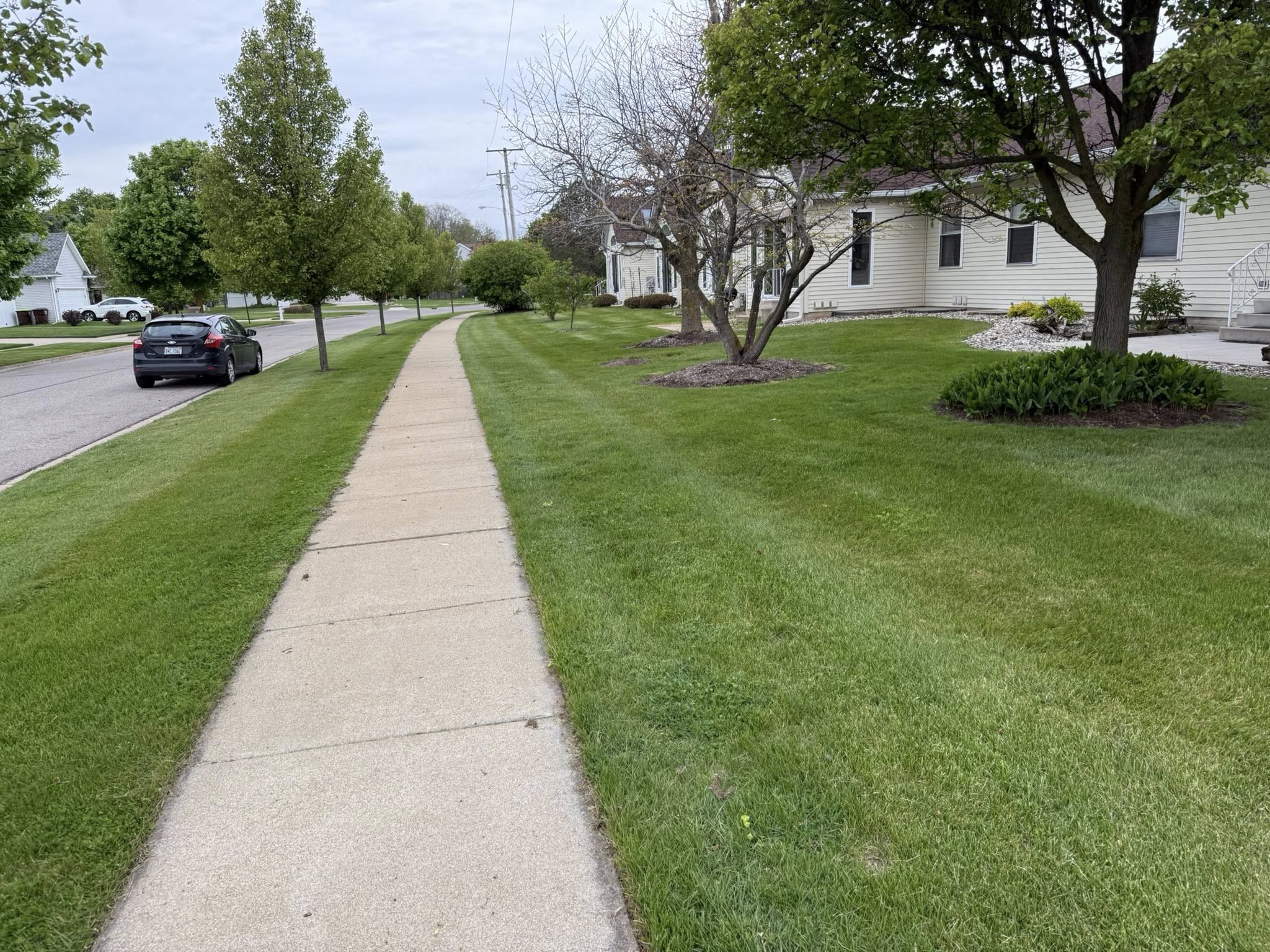 Ryan Lingenfelter giving honest lawn care advice to a homeowner in Sudbury