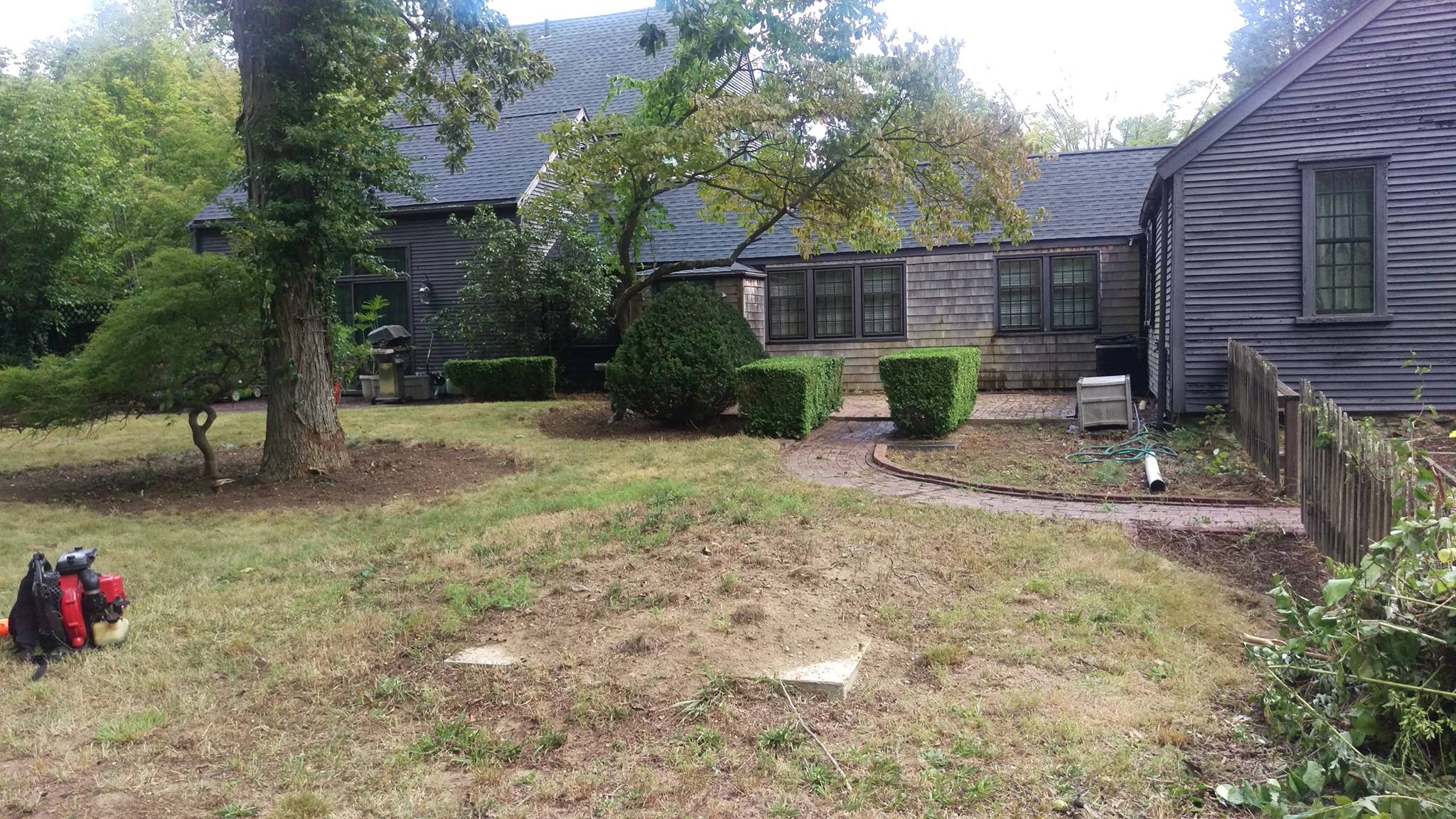 Scalped brown lawn Sudbury Ontario