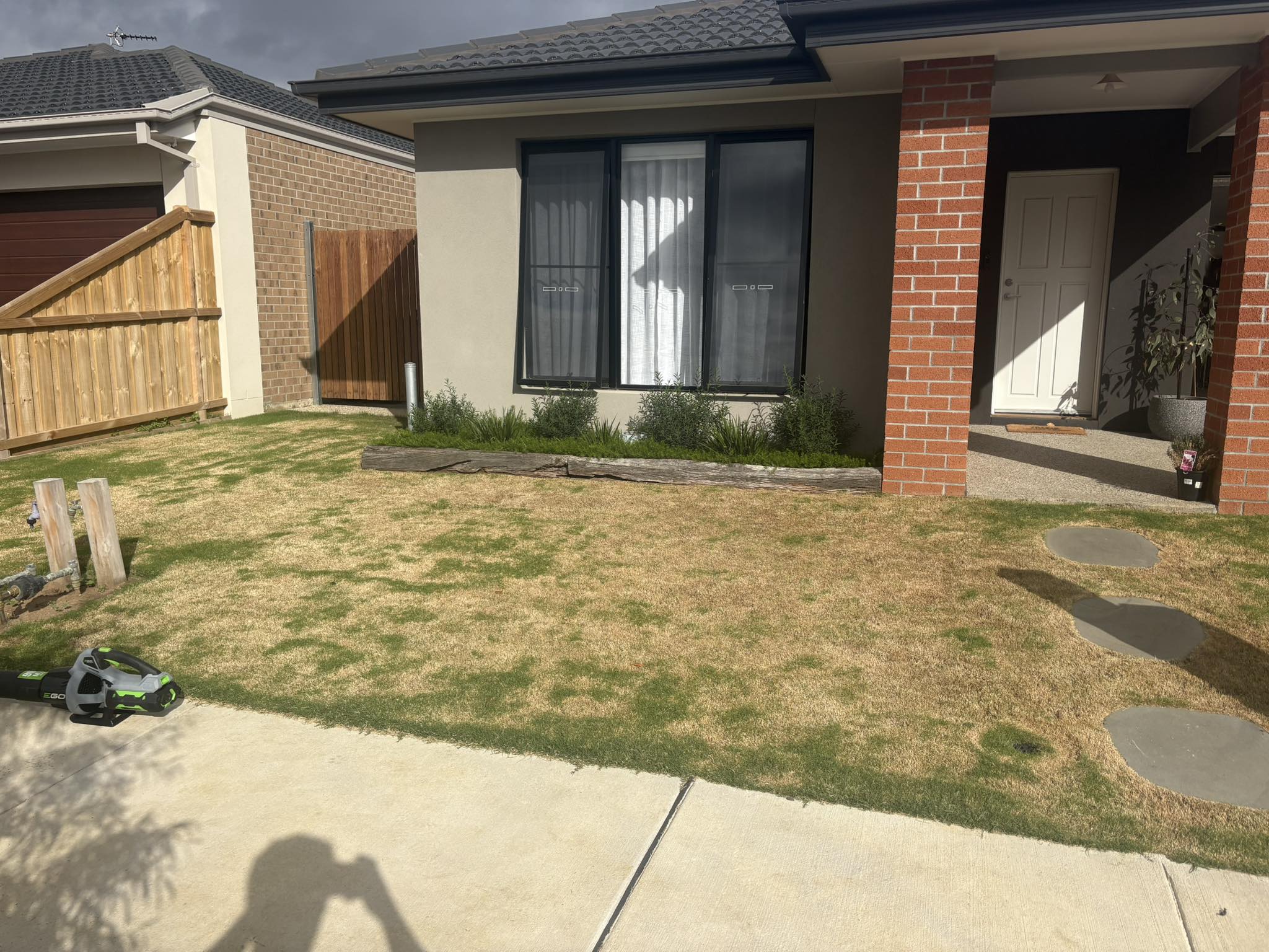 Scalped lawn cut too short Sudbury