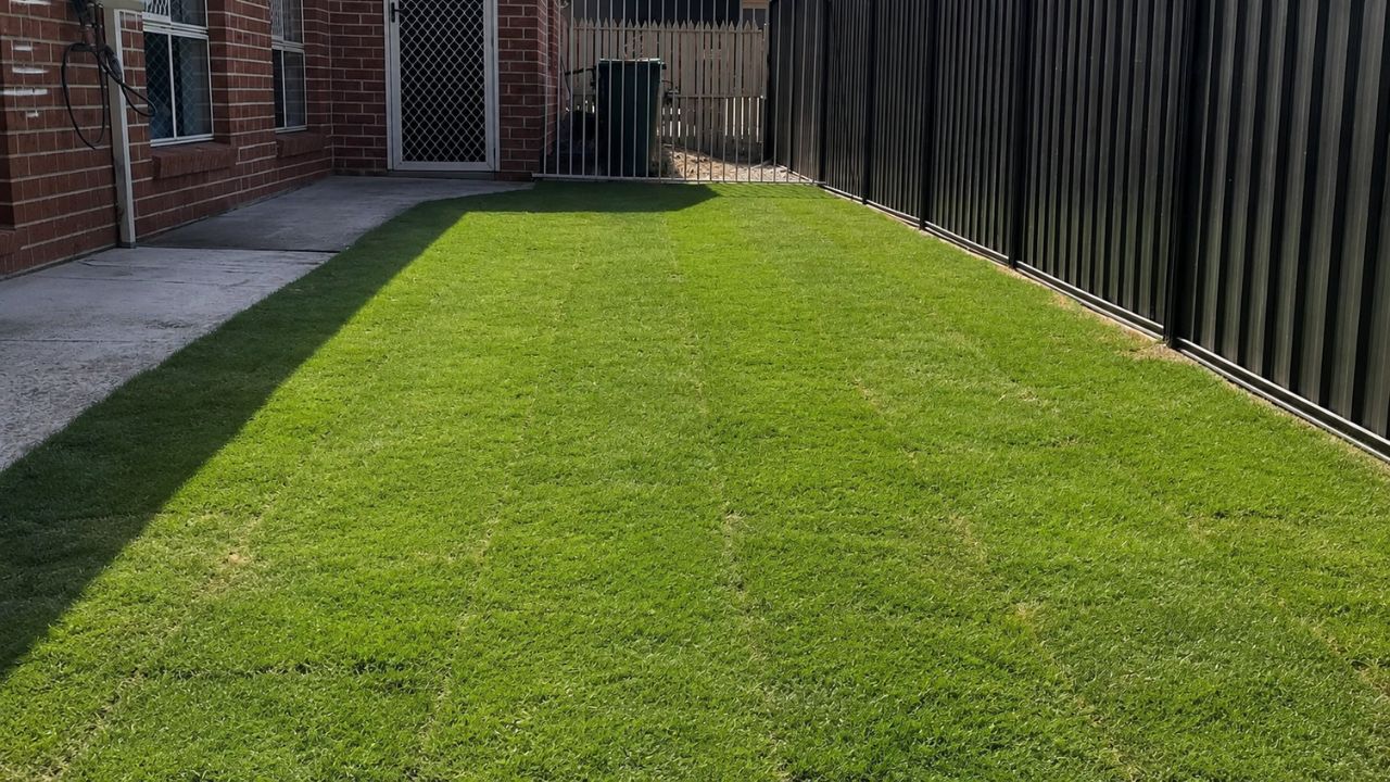 Severely neglected damaged lawn Greater Sudbury Ontario before restoration