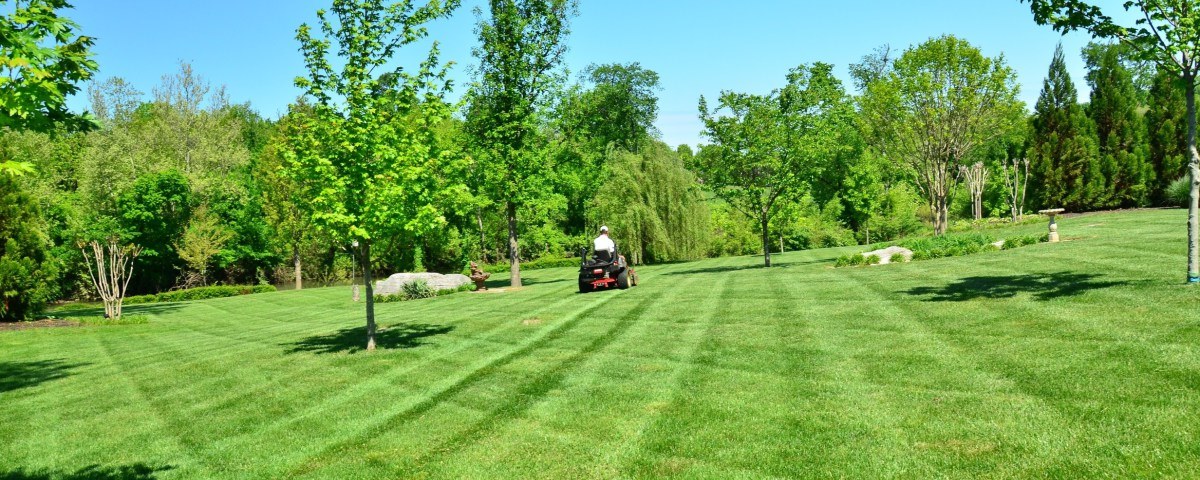 Sod installation process Sudbury Ontario