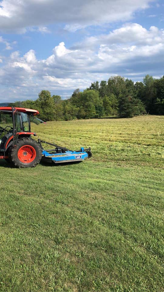 Spring lawn cleanup and aeration work on a Sudbury property