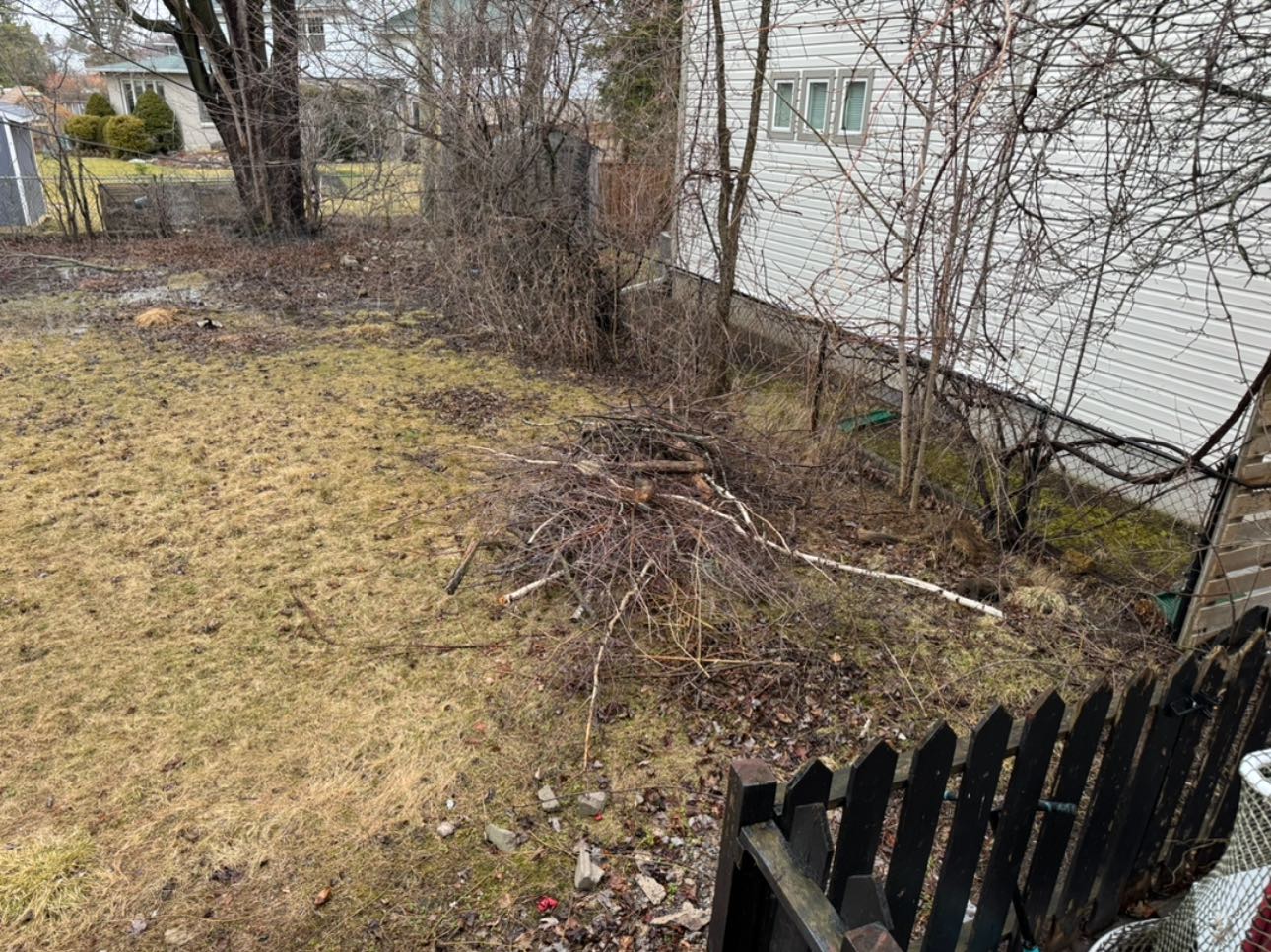 Spring property cleanup Sudbury Ontario yard debris removal