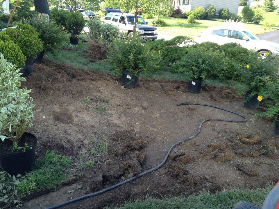 Sprinkler watering a residential Sudbury lawn in early morning