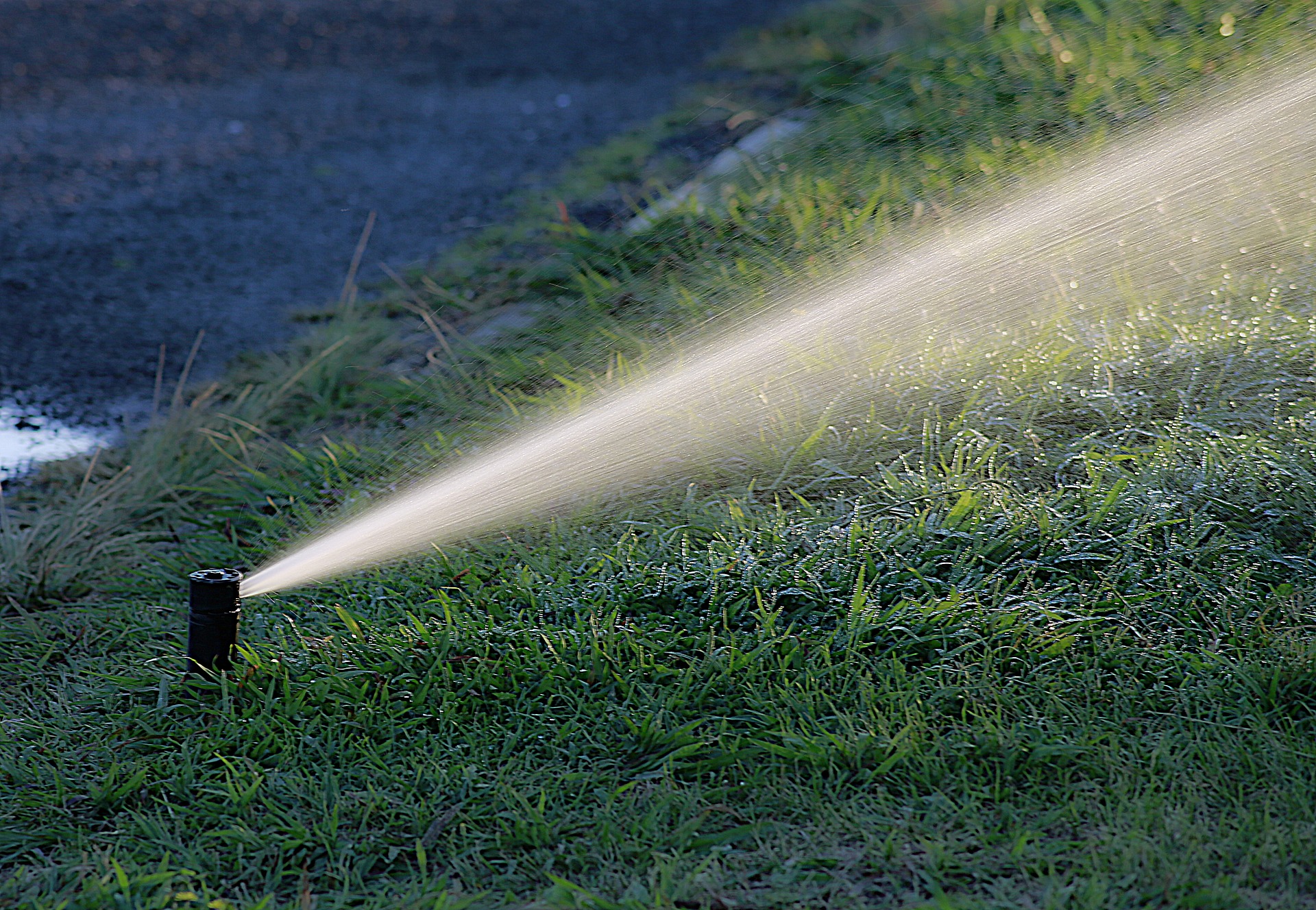 Sprinkler watering a residential lawn in Greater Sudbury Ontario