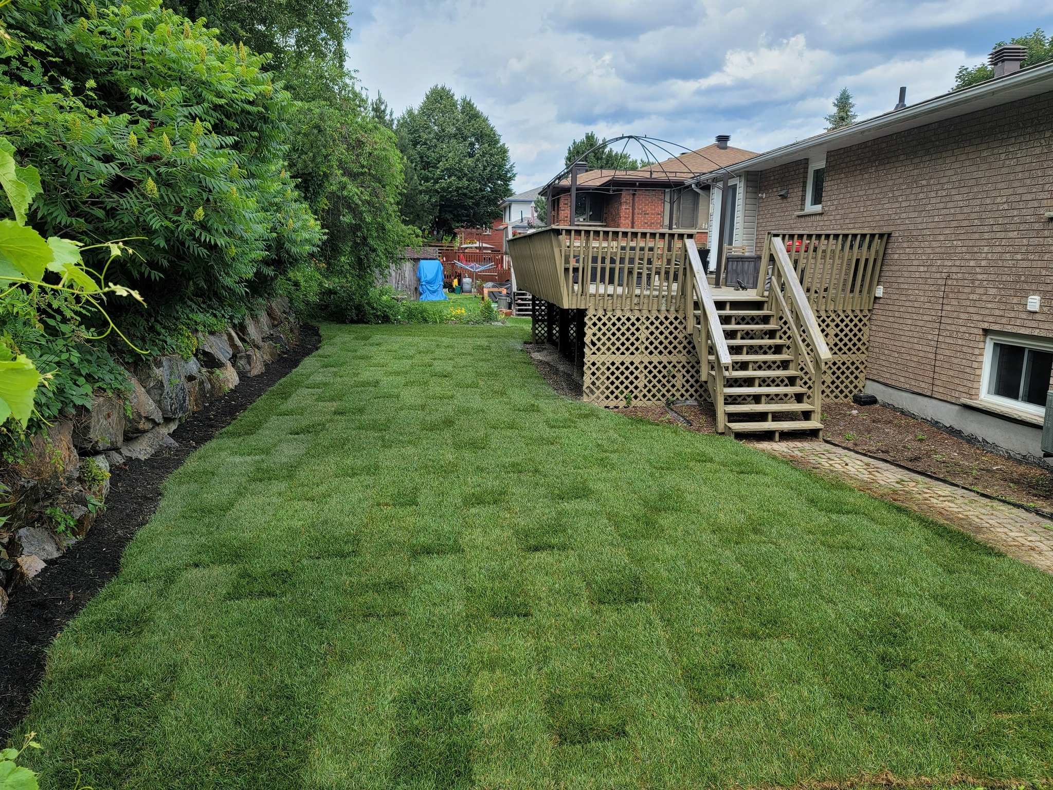 Sprinkler watering lawn Sudbury summer