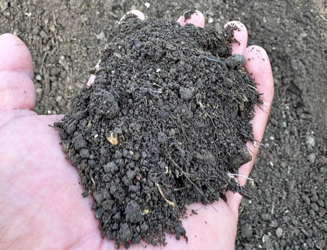 Sudbury Ontario clay soil spring lawn care