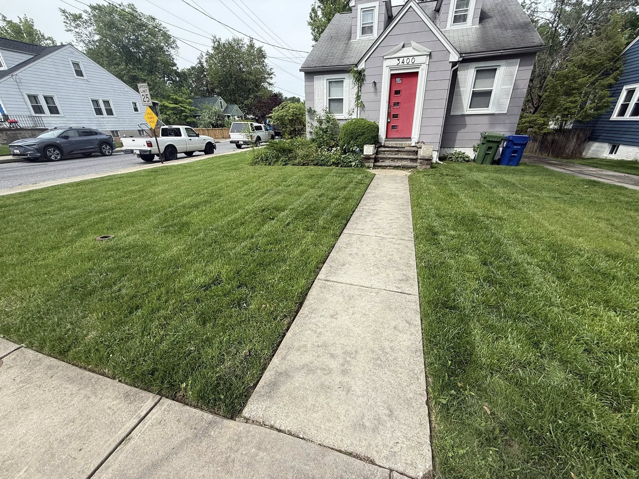 Sudbury homeowner looking at a problem lawn section with honest assessment needed