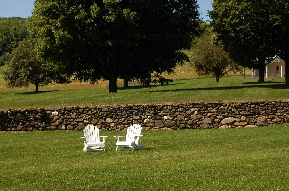 Sudbury lawn renovation cost comparison sod versus seed