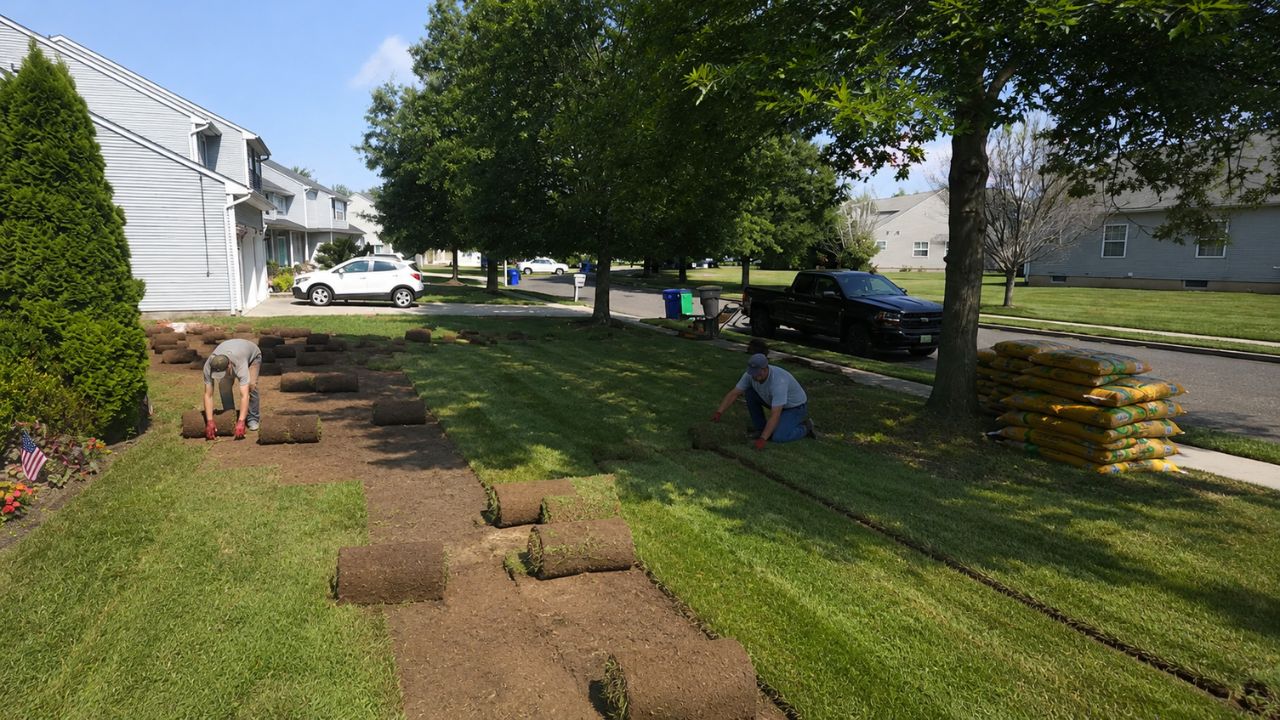 Sudbury lawn renovation showing money invested in transformation