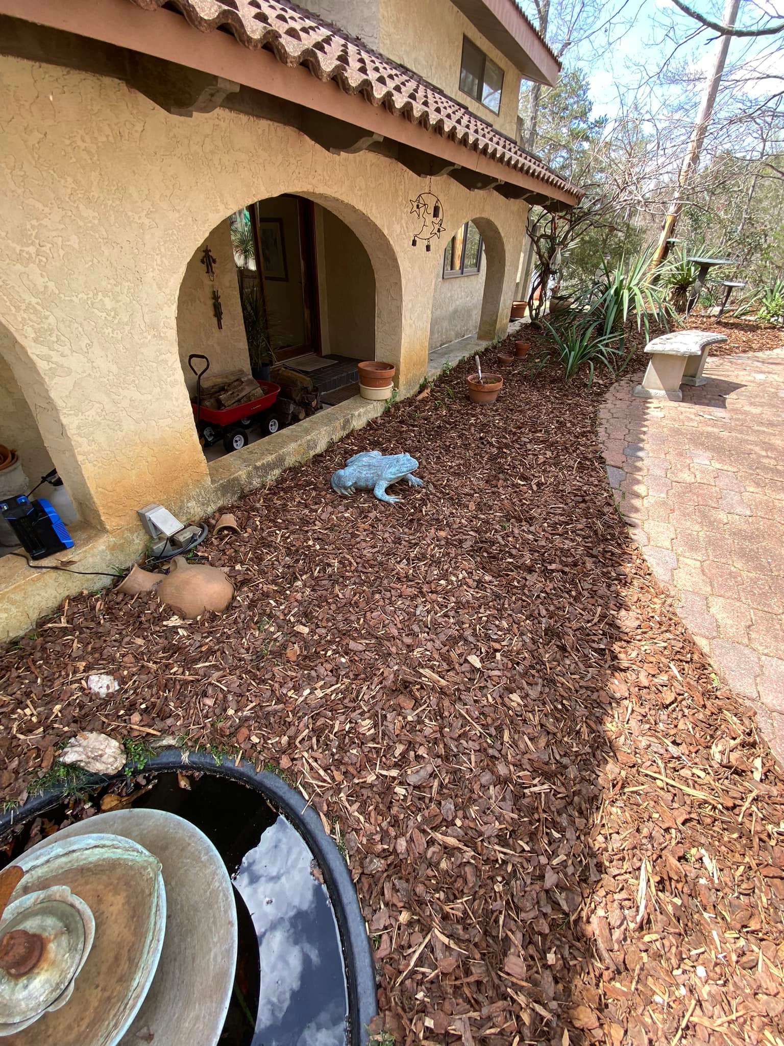 Sudbury lawn scalped too short May