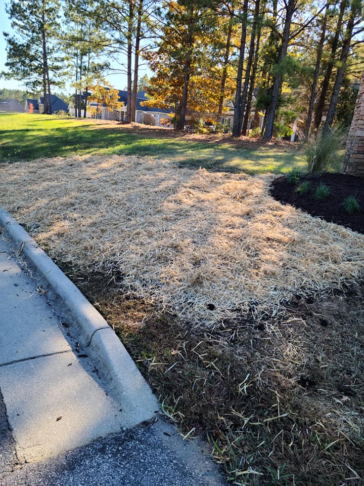 Sudbury lawn three inch mowing height