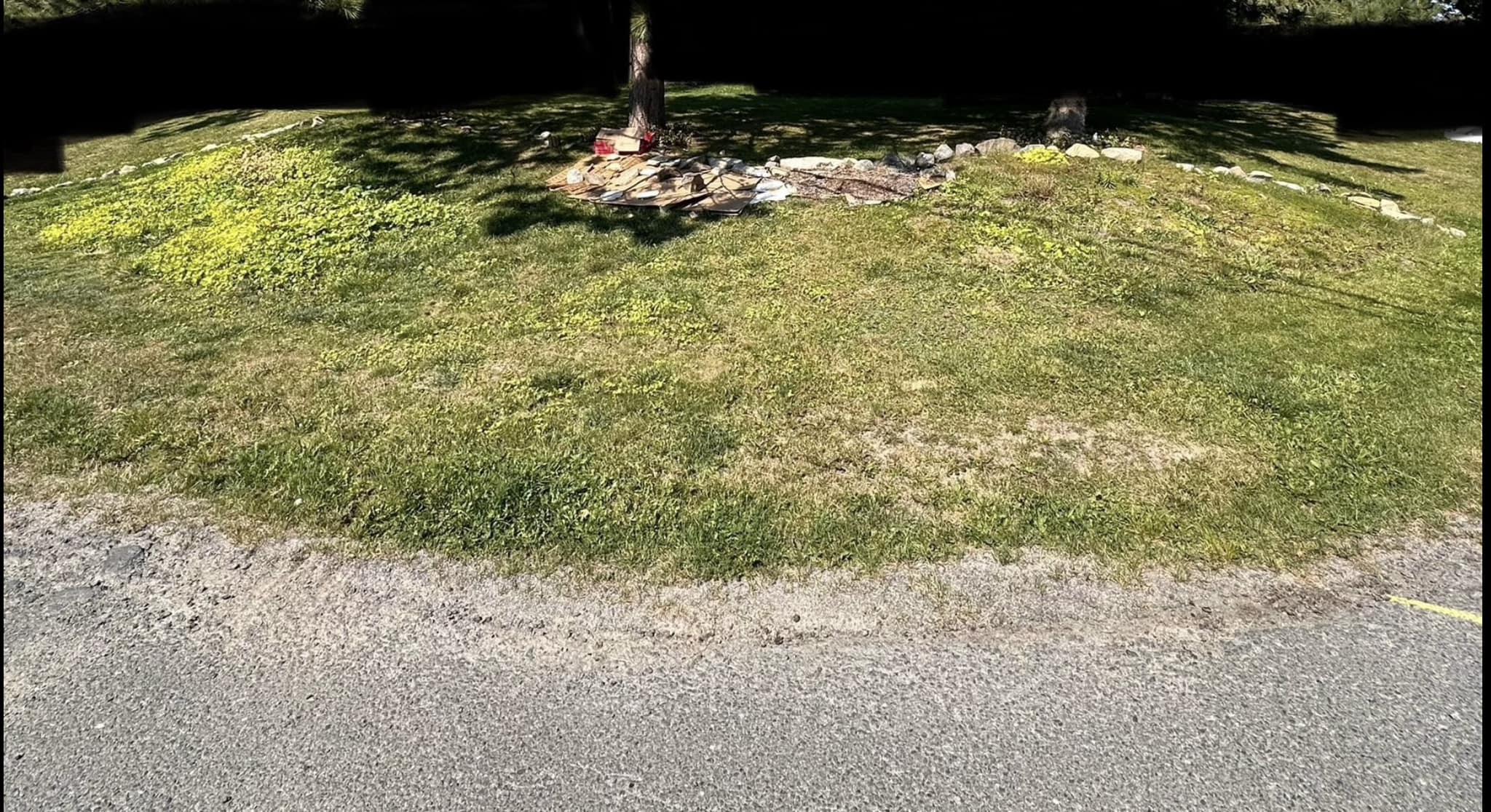 Thin yellowing lawn section on a Val Caron Greater Sudbury property in summer