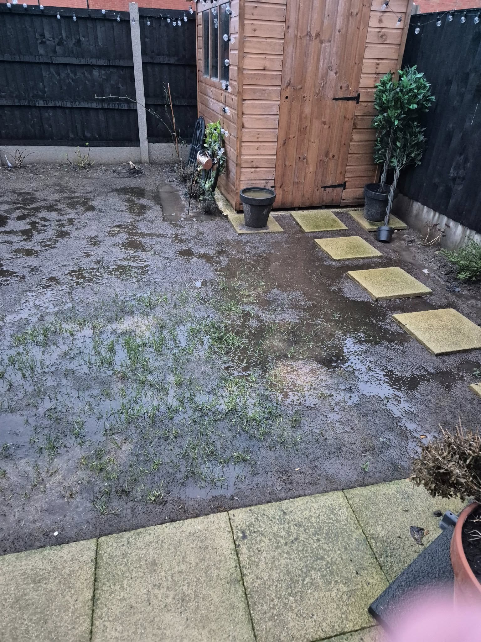 Waterlogged lawn with soggy footprint in early spring