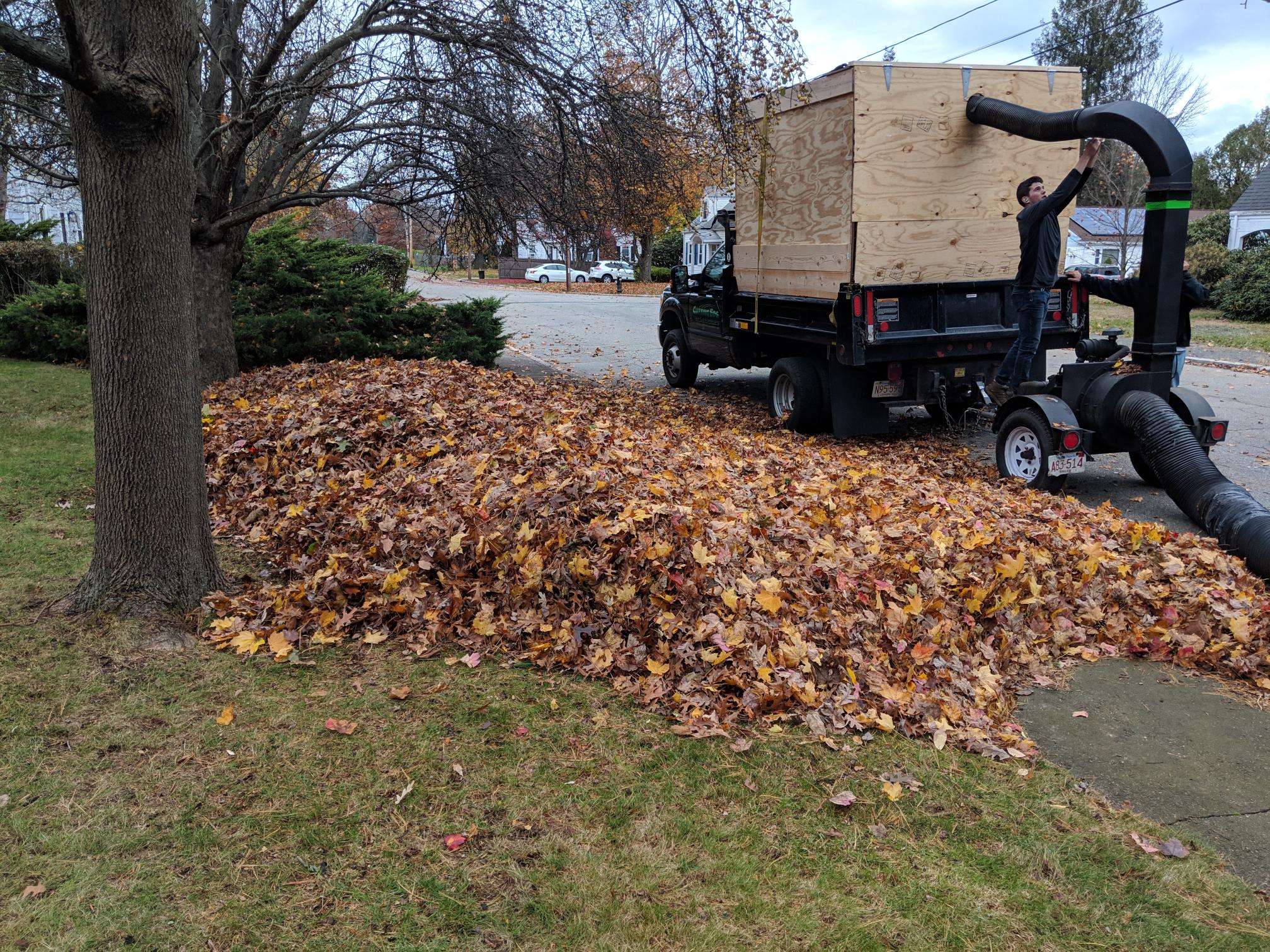 Yard cleanup crew Sudbury Ontario