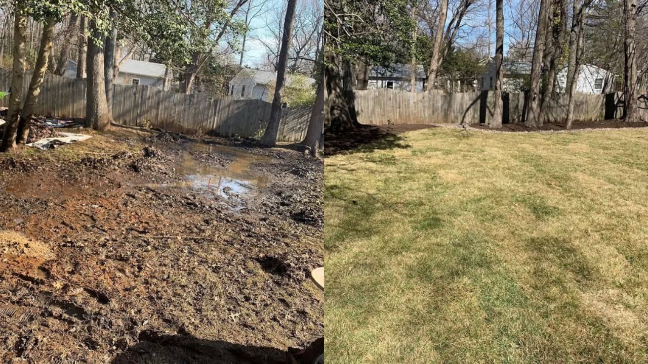 before after lawn recovery Sudbury Ontario spring