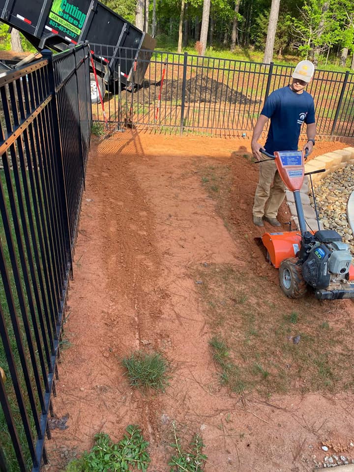 core aeration plugs lawn Sudbury spring