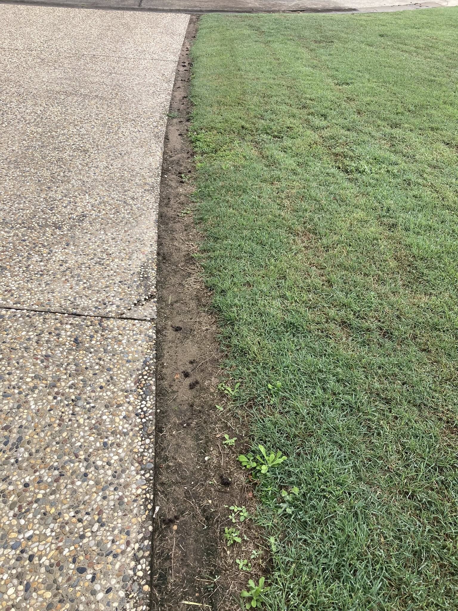 lawn edging damage along driveway residential property Sudbury Ontario