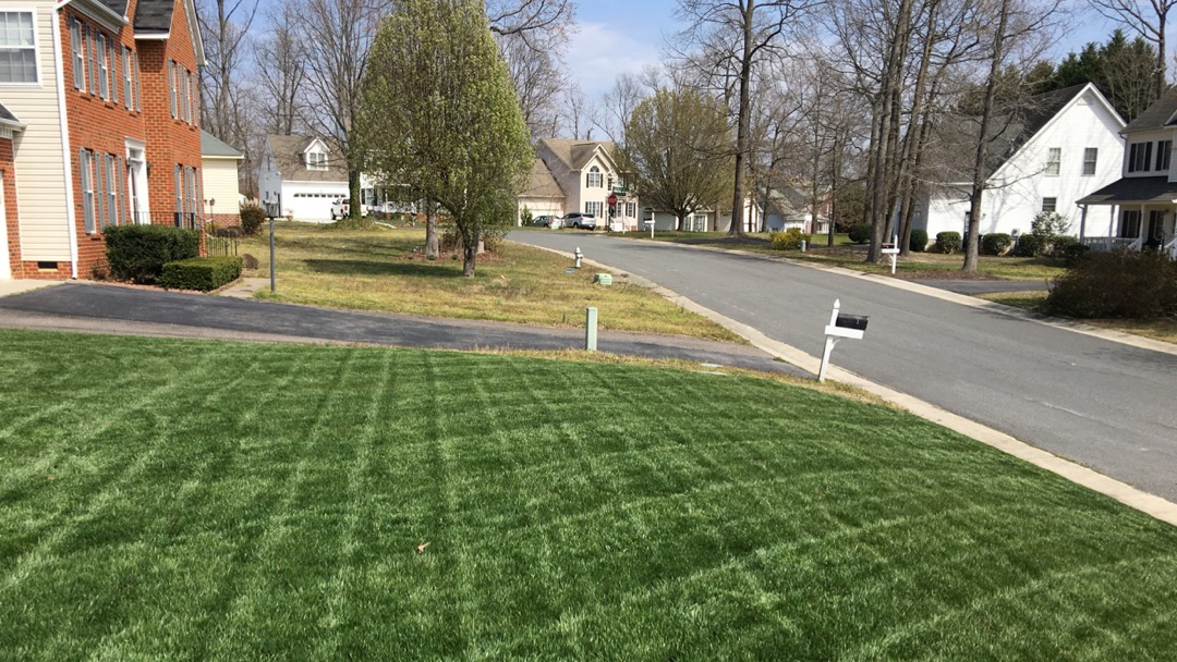 small lawn care job completed by Cutting Edge Lawn Garson Ontario