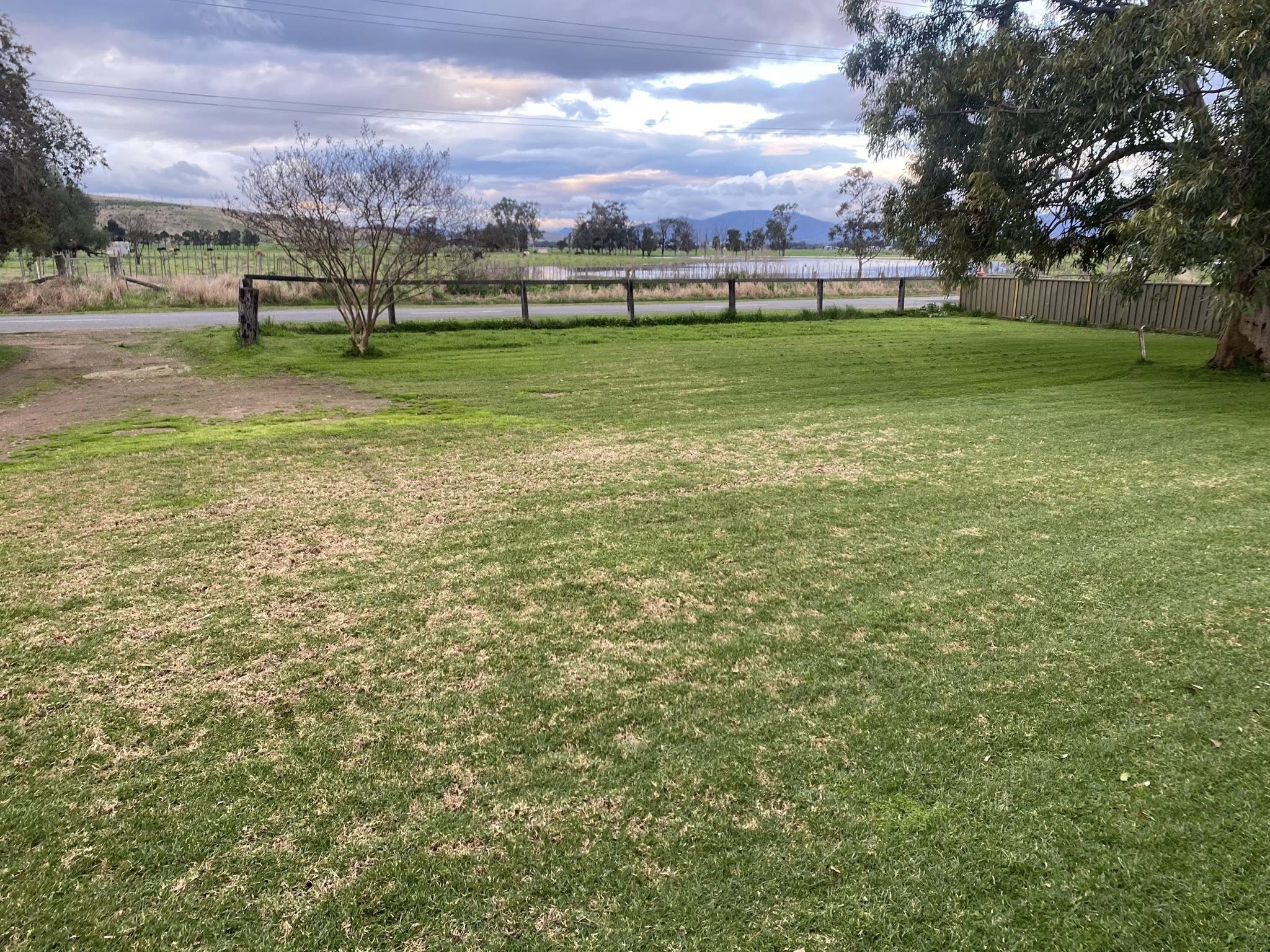 stressed dry lawn patches after incorrect mowing Sudbury Ontario