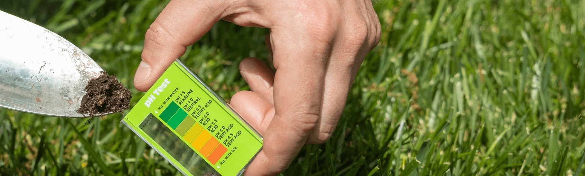 Soil pH testing on a lawn near an older Sudbury industrial neighbourhood