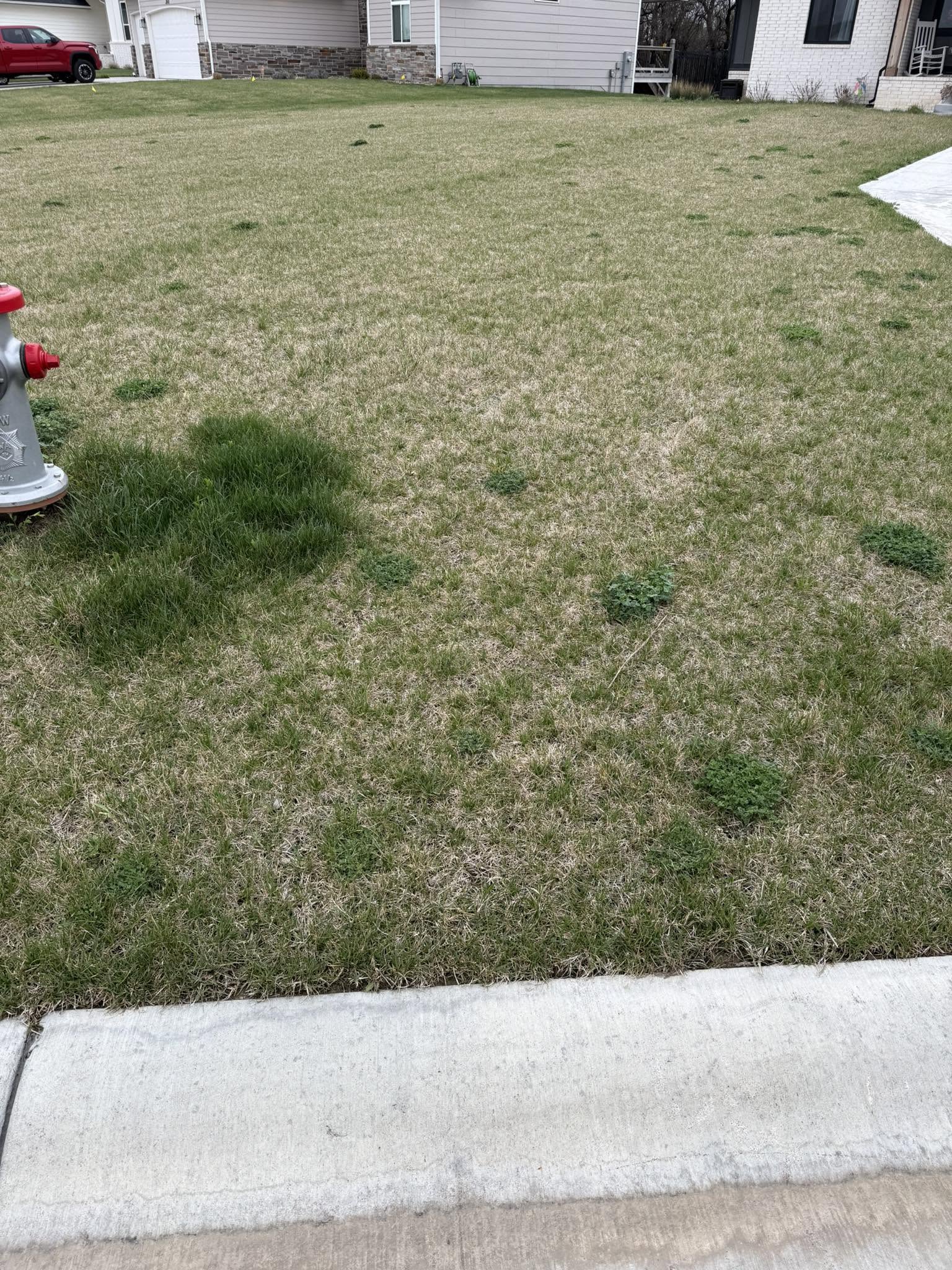 Assessing soil compaction and lawn condition during a Sudbury property visit