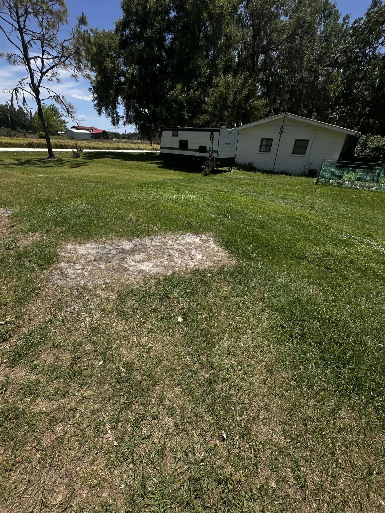 Assessing the cause of dead grass before sod patch repair in Sudbury