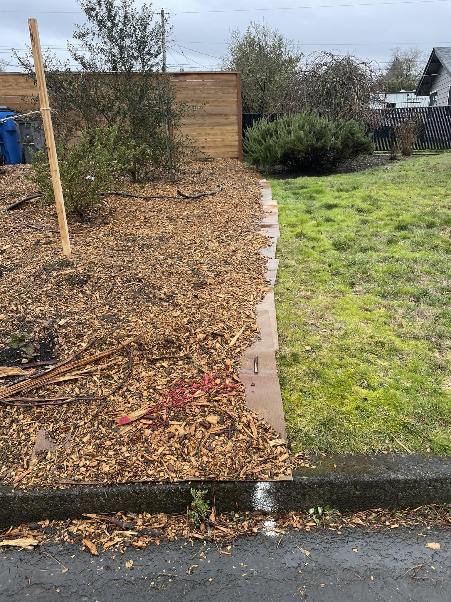 Average Sudbury residential lawn that blends in with neighbouring properties
