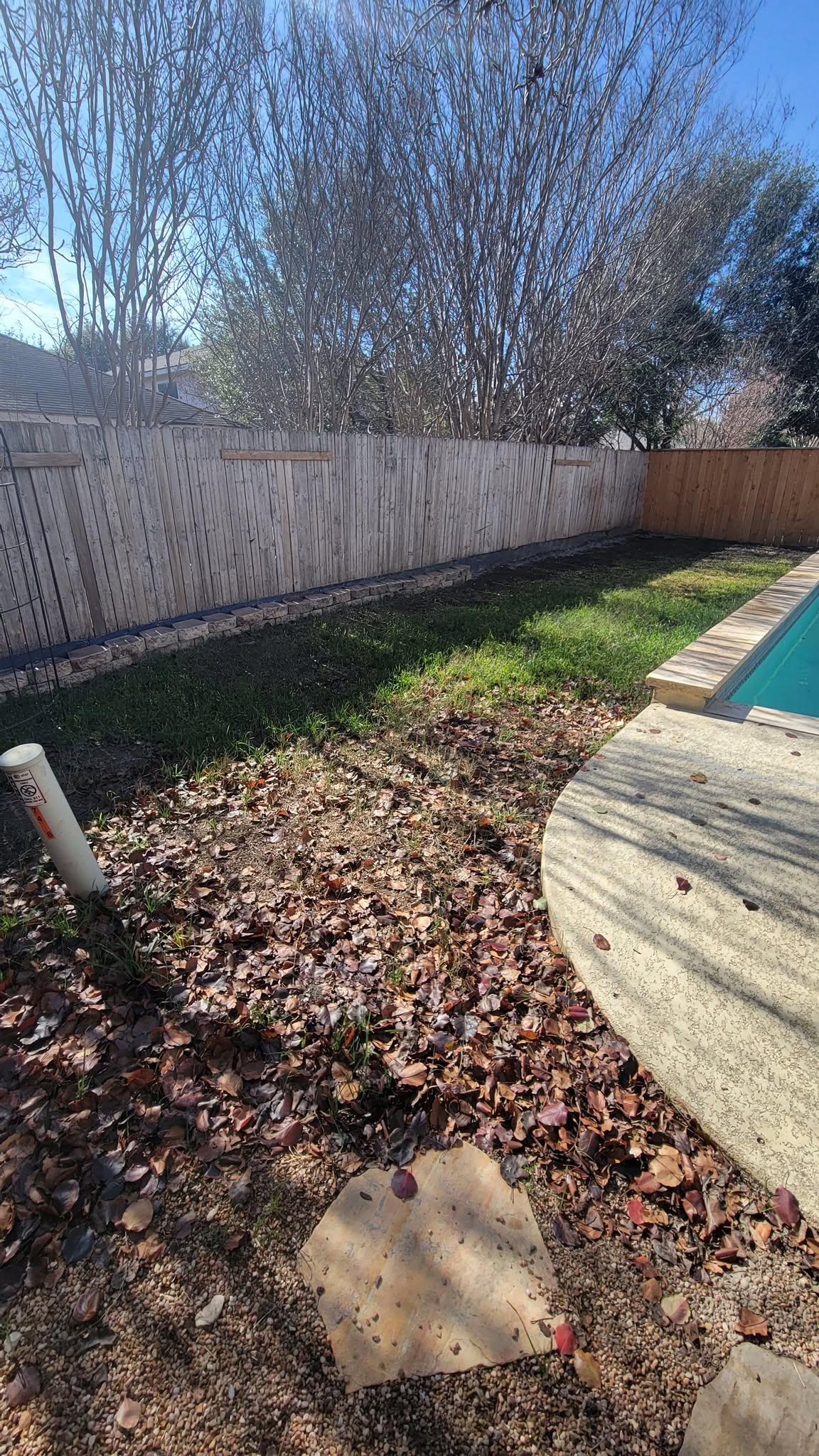 Backyard lawn cleanup debris removal Sudbury Ontario before summer event
