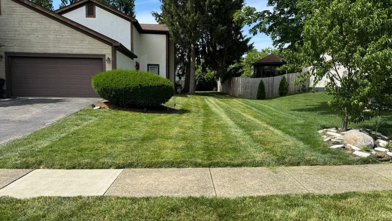 Backyard lawn ready for Canada Day party Greater Sudbury Ontario summer event
