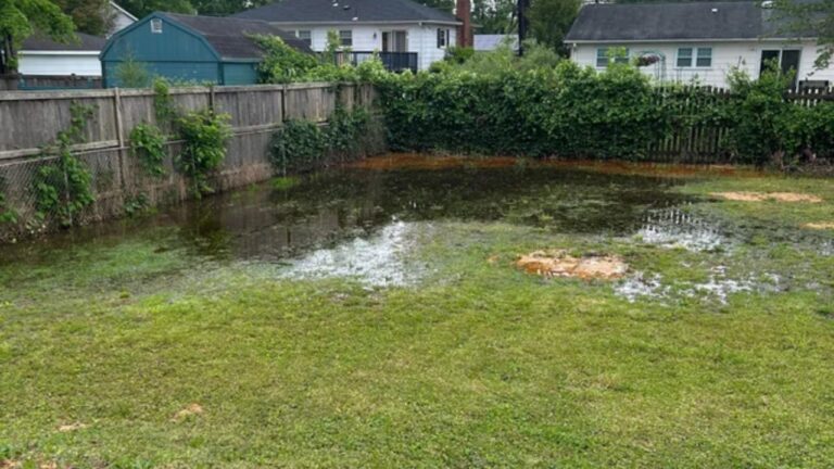 Sudbury Pool Owners: The Lawn Damage You’re Causing Without Realizing
