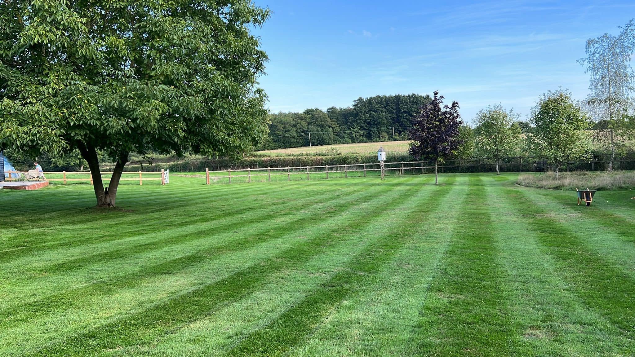 Before after lawn cutting quality comparison Sudbury Ontario professional result
