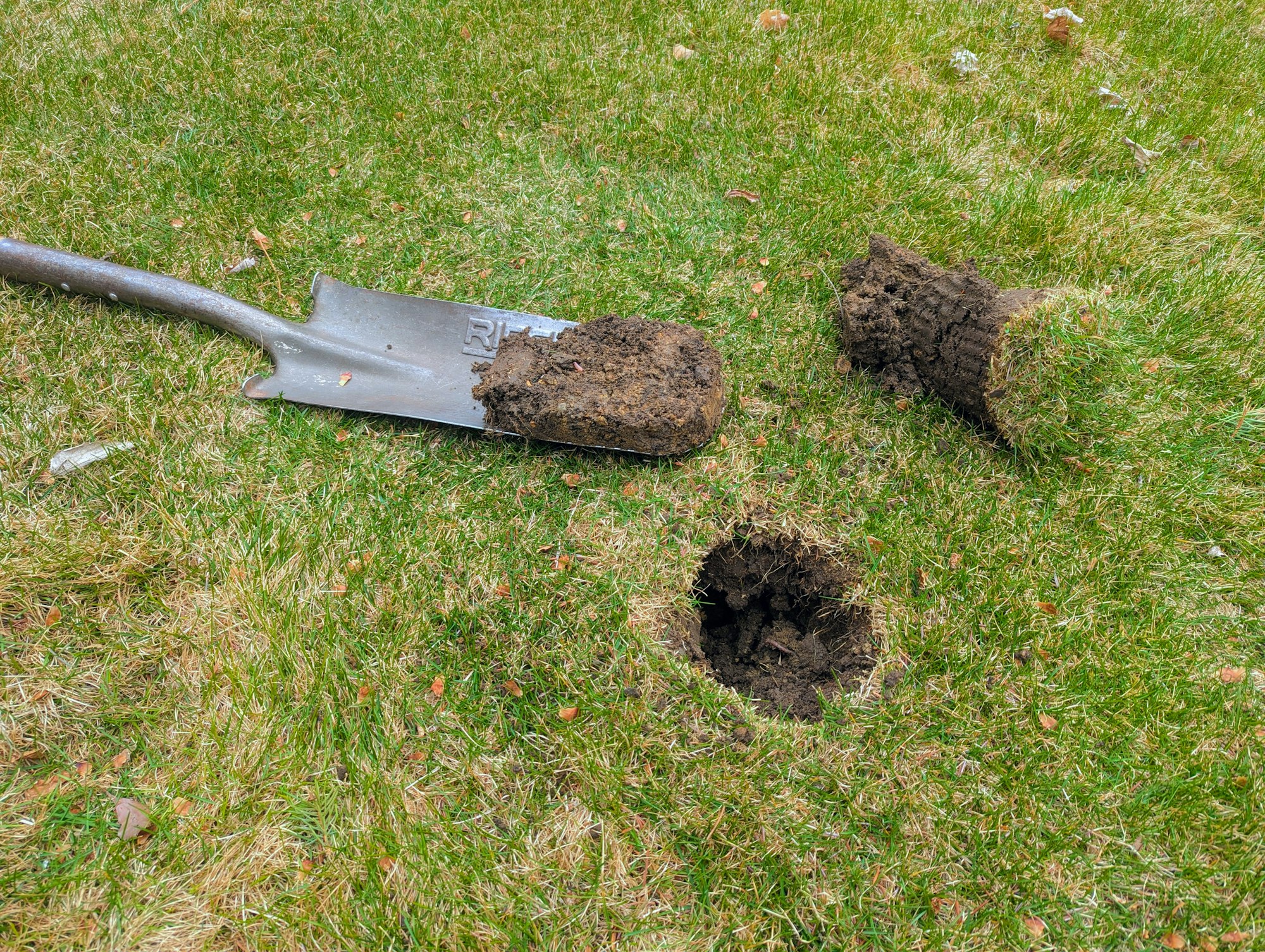Canadian Shield clay soil beneath an established Sudbury lawn
