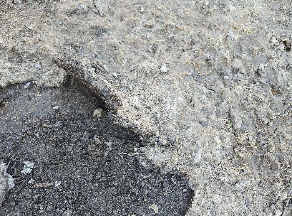 Canadian Shield clay soil exposed during sod preparation in Greater Sudbury