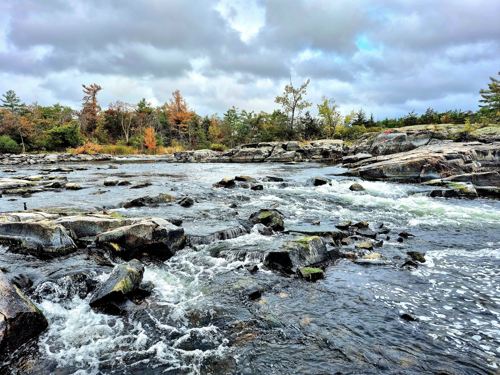 Canadian Shield rocky terrain near Sudbury Ontario showing challenging lawn conditions