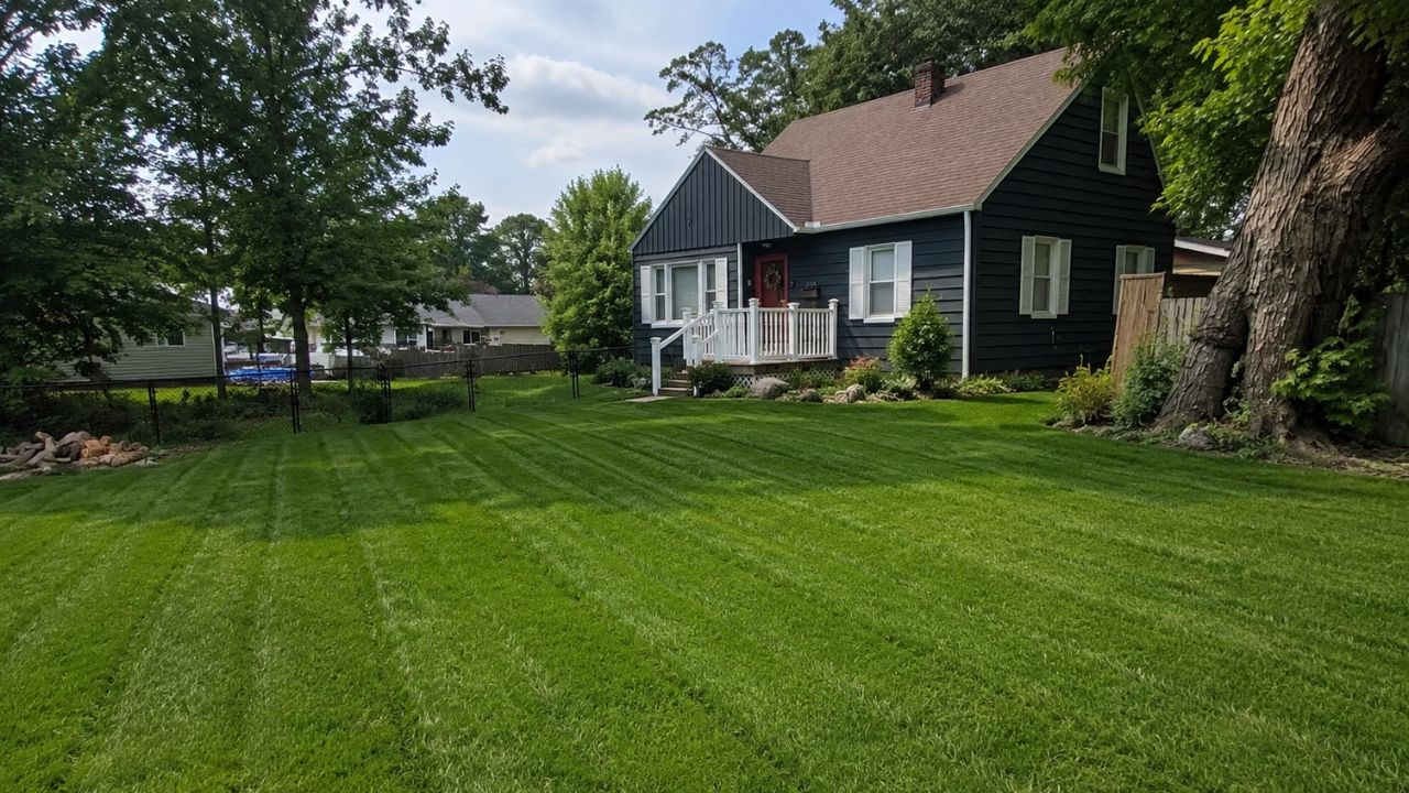 Chelmsford Ontario residential lawn decline two years no maintenance before restoration