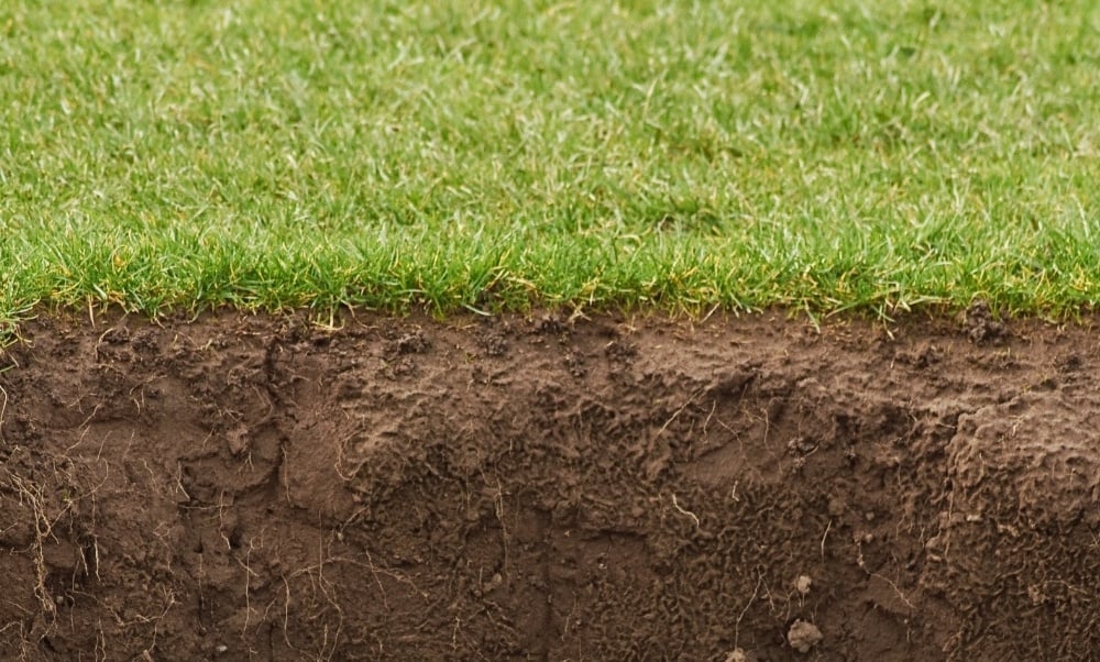 Compacted clay soil on older Walden Sudbury Ontario property causing lawn health problems
