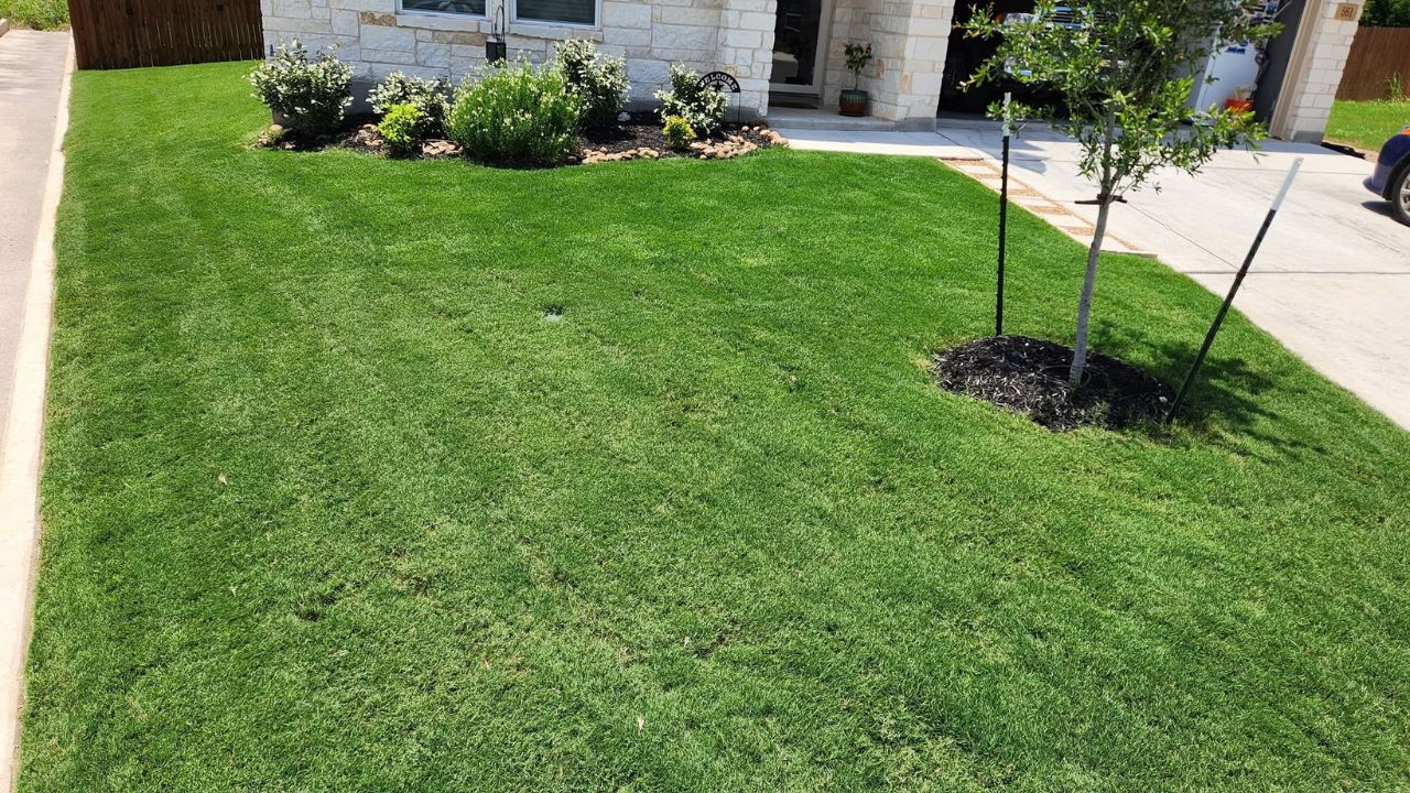 Comparison of Sudbury Ontario lawn with same owner for 10 years versus lawn passed through 3 different owners