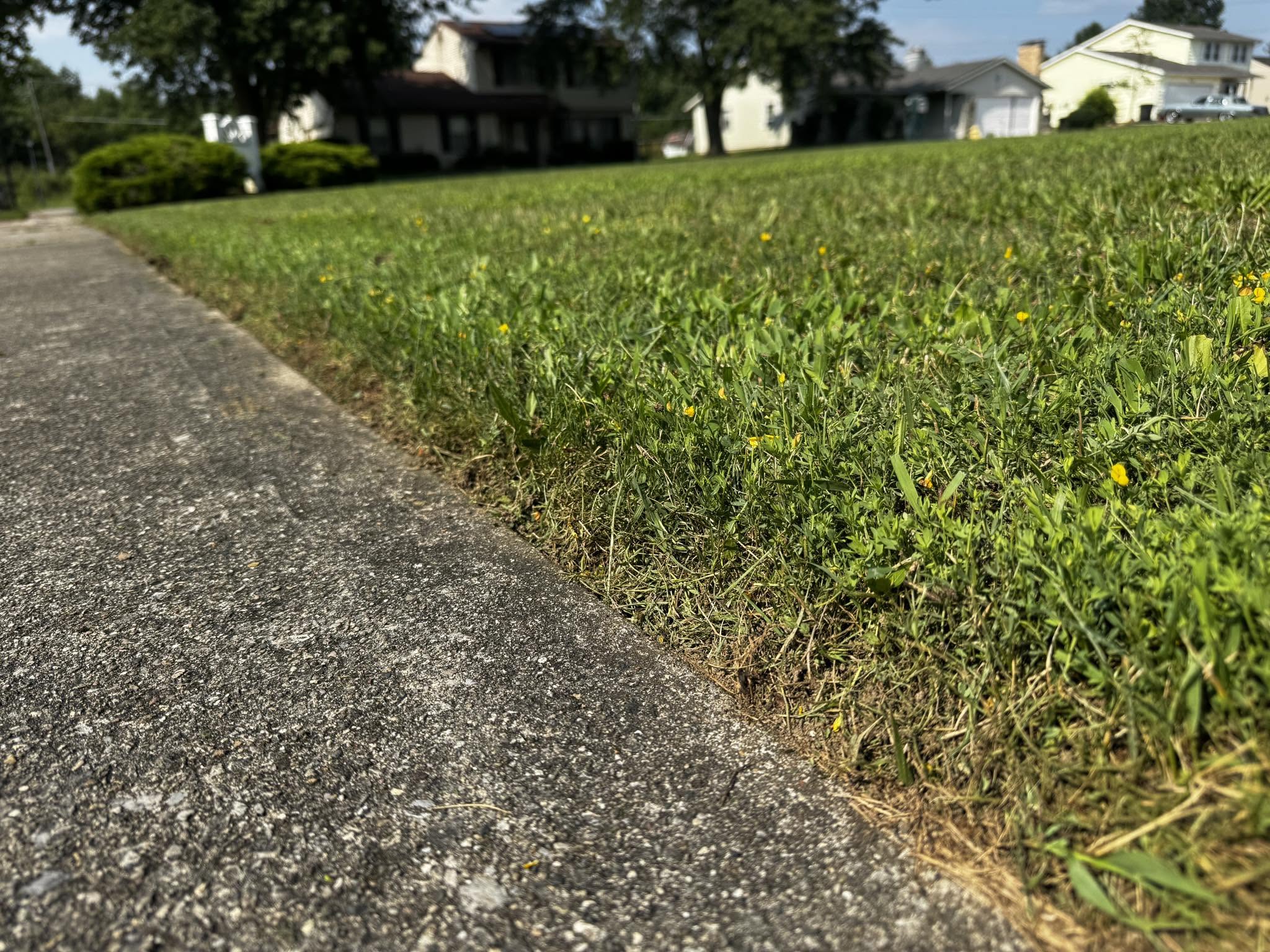 Complete lawn cut with edging included in flat-rate per-cut pricing Sudbury