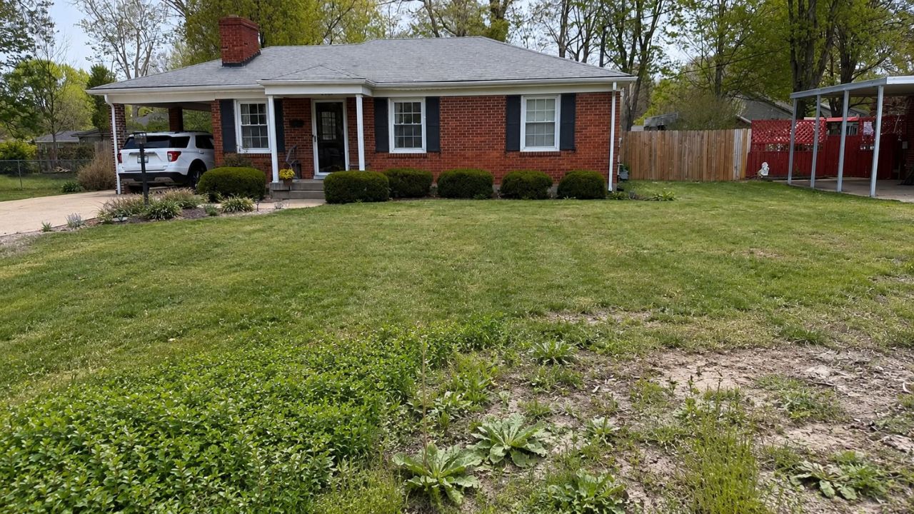 Completely neglected overgrown lawn Greater Sudbury Ontario one season no maintenance