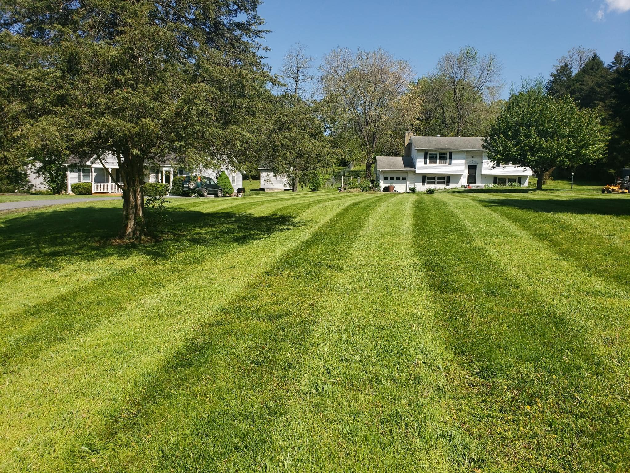 Consistent grass cutting being done on a Sudbury lawn in June