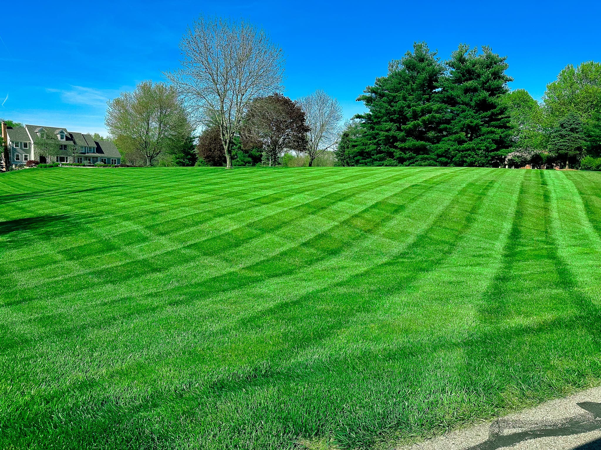 Consistent lawn maintenance Sudbury established healthy turf