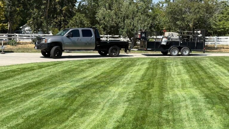 What Happens to a Sudbury Lawn During a Construction or Renovation Project Next Door