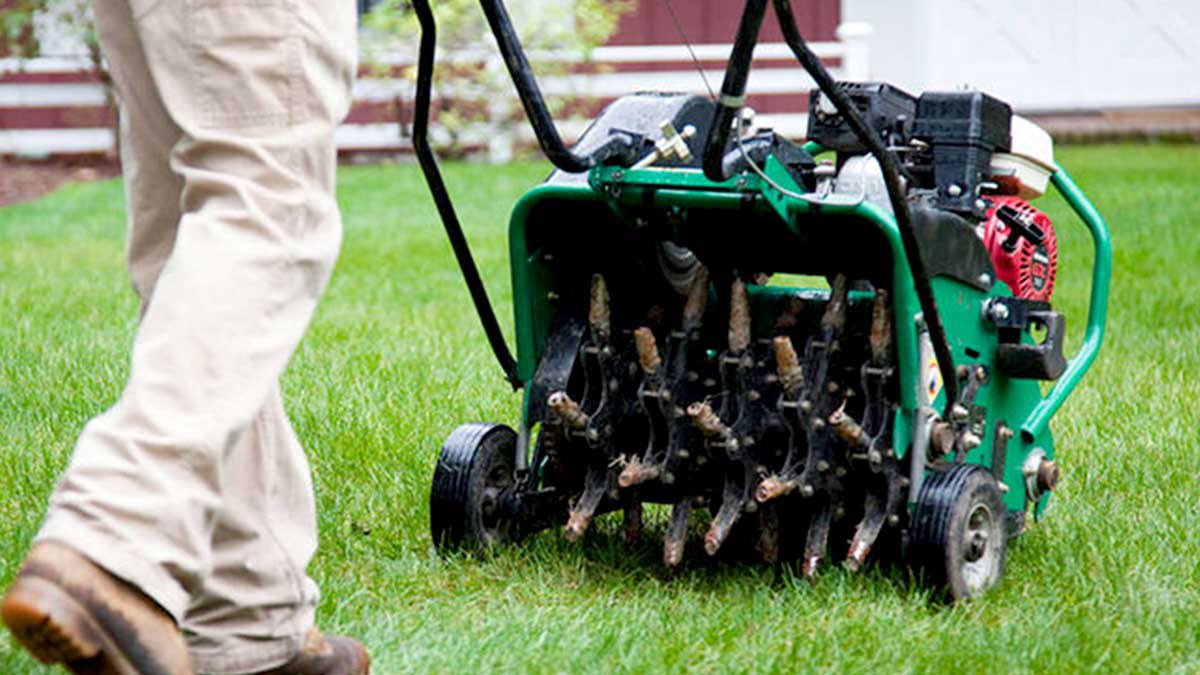 Core aeration being done on a lawn in Capreol or Azilda Ontario