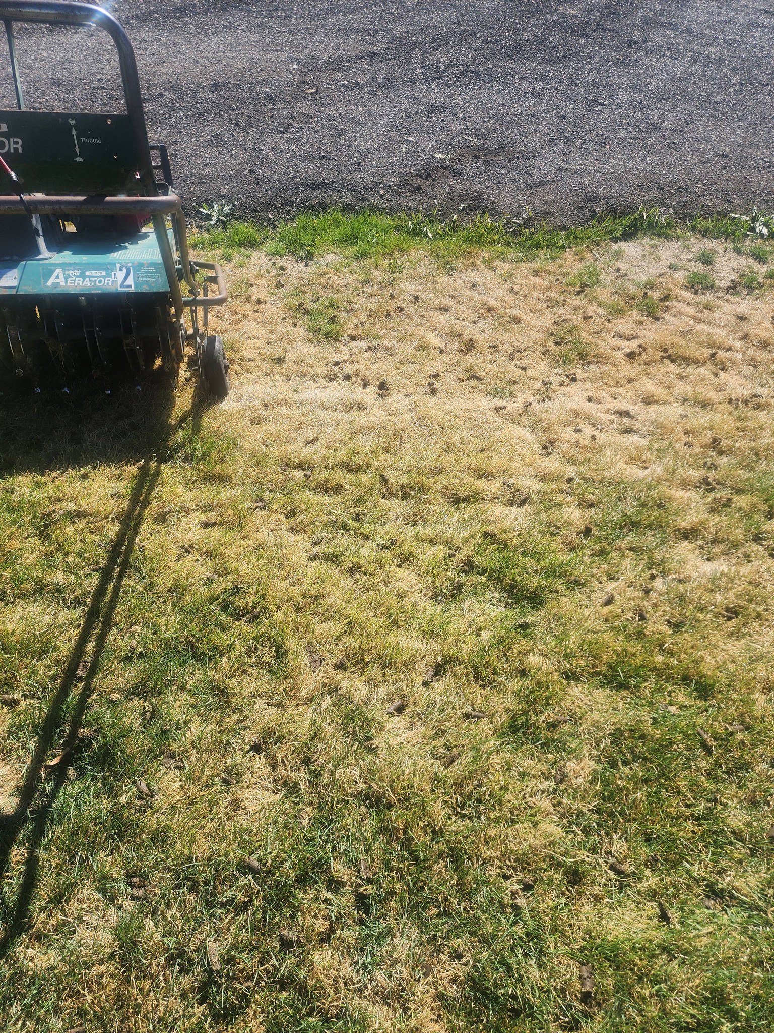 Core aeration breaking compaction residential lawn Greater Sudbury Ontario